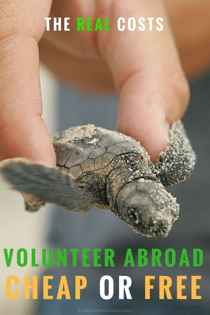 Is it possible to volunteer abroad and travel the world for free? Yes it is, but many work programs have real costs, and our volunteer expert tells you how to budget your money in volunteer destinations like Africa or Thailand or Costa Rica or South America. These tips can help with the real costs of volunteer programs like teaching English or conservation projects with turtles or elephants in Thailand.