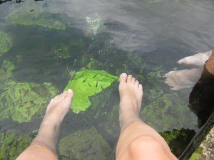 Nibbling Fish at Cenote Crystalline, Playa del Carmen, Mexico