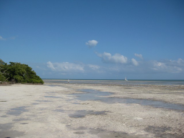 Anne's beach near Caloosa Cove in the Florida Keys