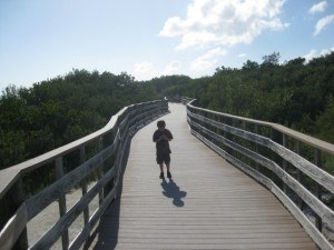 Boardwalk near Caloosa Cove in the Florida Keys (A Long Run)