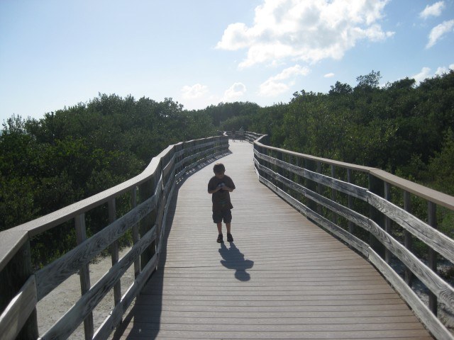Boardwalk near Caloosa Cove in the Florida Keys (A Long Run) Boardwalk near Caloosa Cove in the Florida Keys (A Long Run)