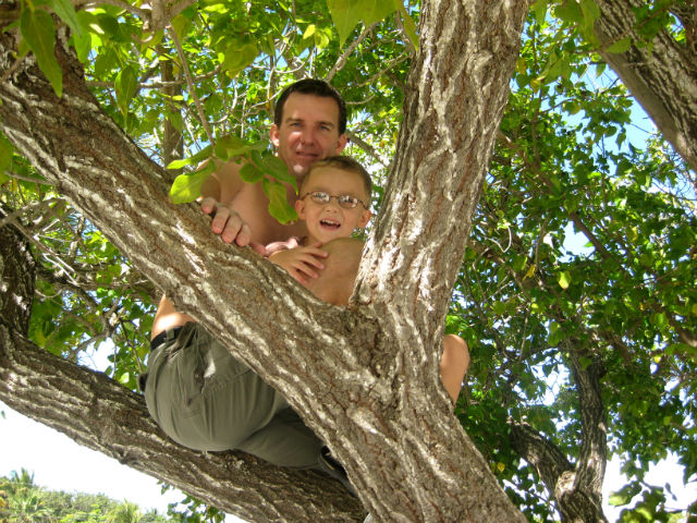 Cole and Chuck in Tree in Florida Travel With Kids is Amazing Quality Time in Tree