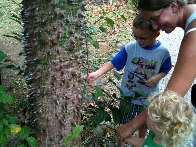 Jo Micki and Cole Looking at Spiky Tree Travel with Kids is Amazing Tree