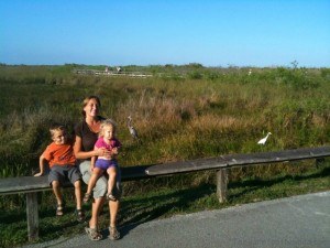 Sitting on a Fence in the Everglades Florida The Barefoot Nomad