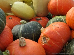 Seasonal Vegetable Picker Travel Jobs