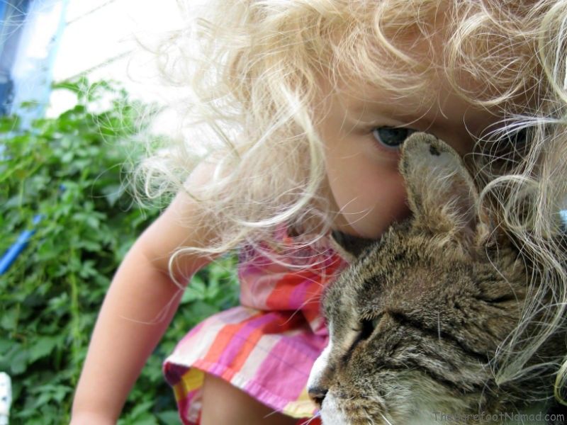 Little Girl and Tabby Cat in the Garden