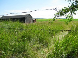 Outbuildings and Barbed Wire Central Alberta Canada Farm