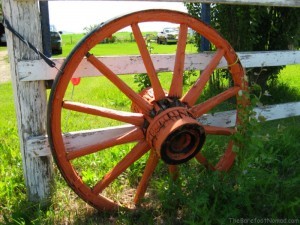 Wagon Wheel on Fence Central Alberta Farm