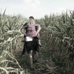 Catching A Ride With Daddy Tranquille Corn Maze