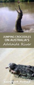 Jumping Crocodiles on Australias Adelaide River
