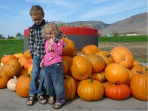 Posing by the Pumpkins Tranquille Farm Fres