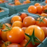 Cherry tomatoes Tranquille Farm Fresh Kamloops