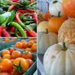 Produce at Tranquille Farm Fresh