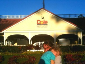 Outside the Dole Plantation Oahu Drive