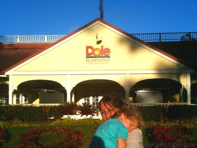 Sleepy+Outside+the+Dole+Plantation+Oahu+Drive+640 Outside the Dole Plantation Oahu Drive