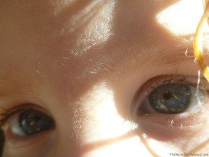 Macro of Eyes Panasonic Lumix DMC-TS4 Sample Underwater Photo