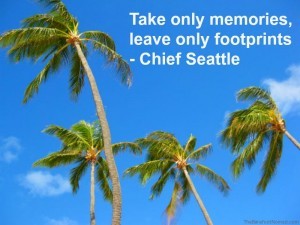 Chief seattle Palm Trees Swaying In The Breeze Kailua Beach Oahu Hawaii Travel Inspiration Quote