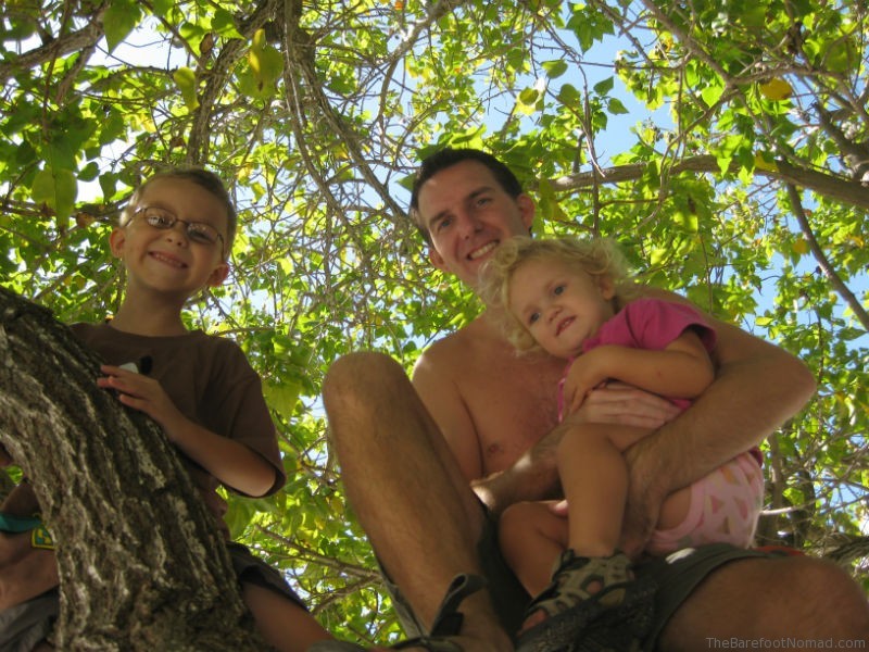 Family in a Tree