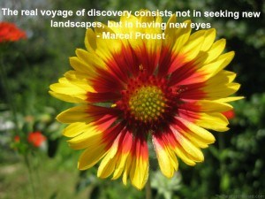 Proust Flower Travel Inspiration Quote