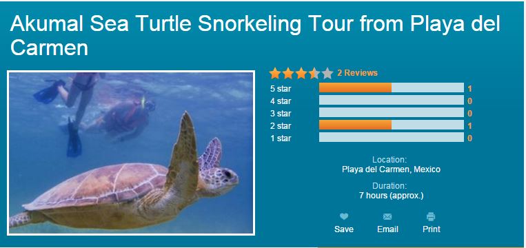 Viator Akumal Sea Turtle Snorkeling Tour from Playa del Carmen