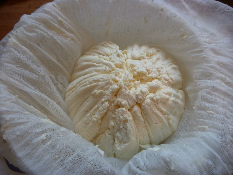 Fresh mizithra cheese