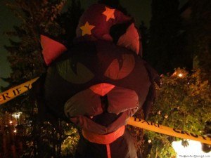 Low light Halloween Cat Canon D20 Review Photograph