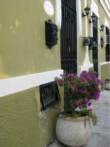 Planter Green Walls Merida