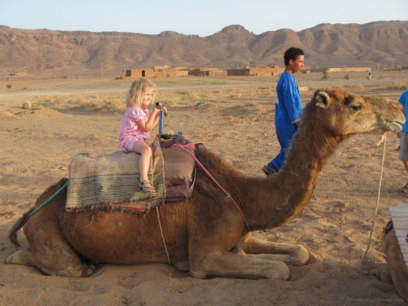 Ready to go! little girl on Camel morocco