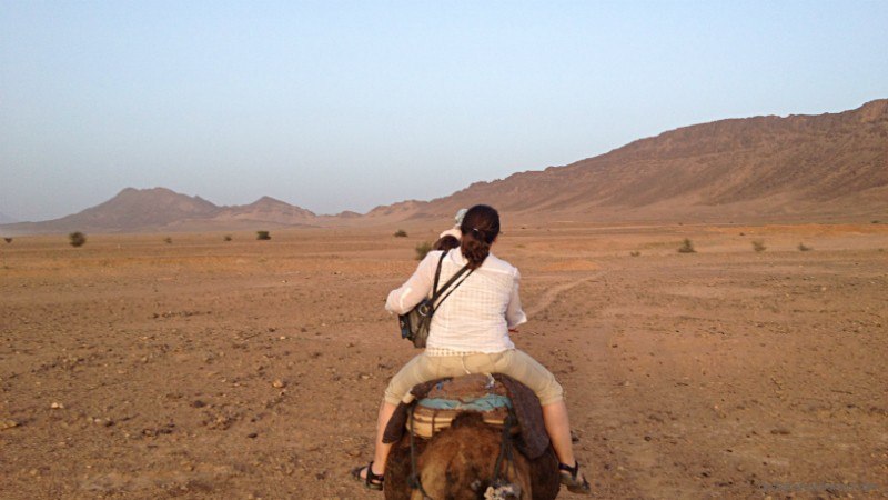 It's about as comfortable as it looks Woman on Camel ride morocco