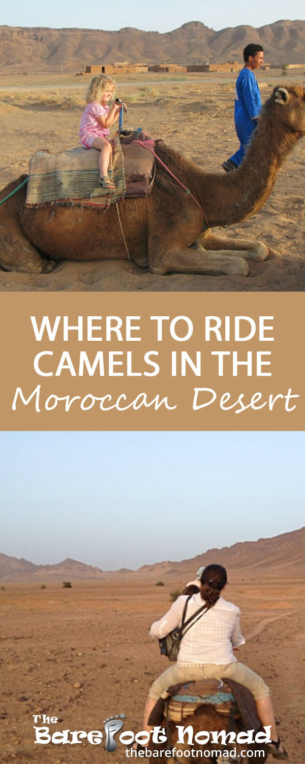 Where to ride camels in the Moroccan Desert