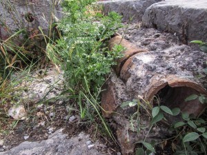 Roman plumbing at the Western Excavations Kos Greece