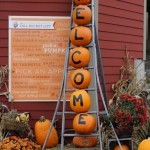 Welcome to the pumpkin patch