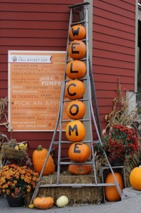 Welcome to the pumpkin patch