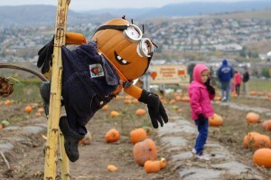 Minion just hanging around at the pumpkin patchCanon EOS Rebel SL1