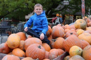 Cole on top of pumpkins