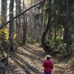Little girl on the park path in fall