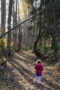 Little girl on the park path in fall