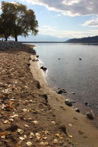 Okanagan lake looking toward the bridge in fall