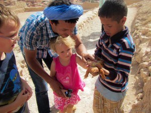 Looking at a reptile in Morocco