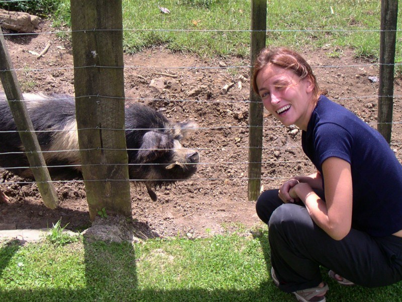 Micki and the Polynesian Pig