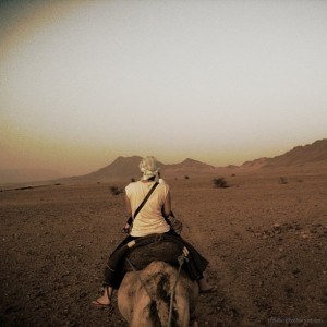 The long trek to our tent camp for the night Morocco Sahara Camel sunset