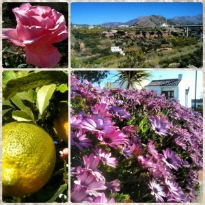 Life in Nerja, Spain