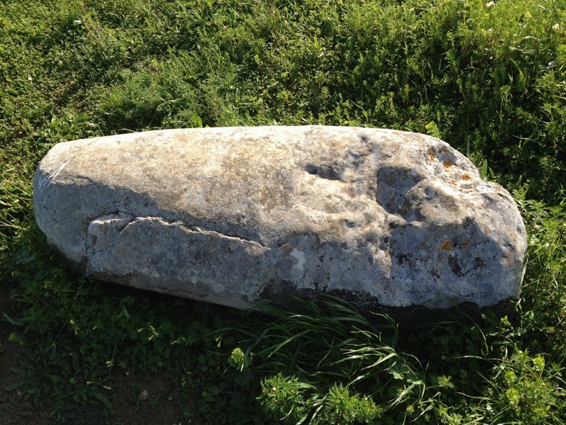 Fallen Menhir near Sagres