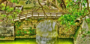 Kunigami-gun Okinawa by Ricymar Photography on FlickrKunigami-gun Okinawa by Ricymar Photography on Flickr