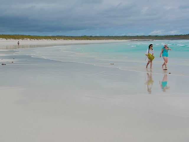 Ever in Transit Galapagos Beach