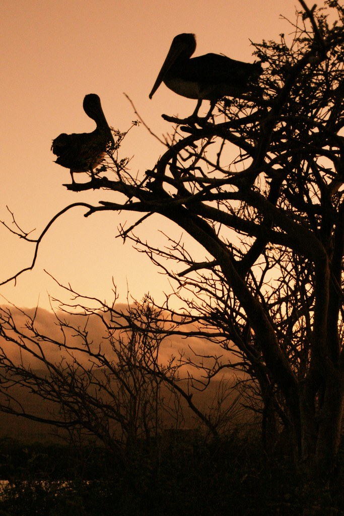 Galapagos Islands by Michael R Perry on Flickr