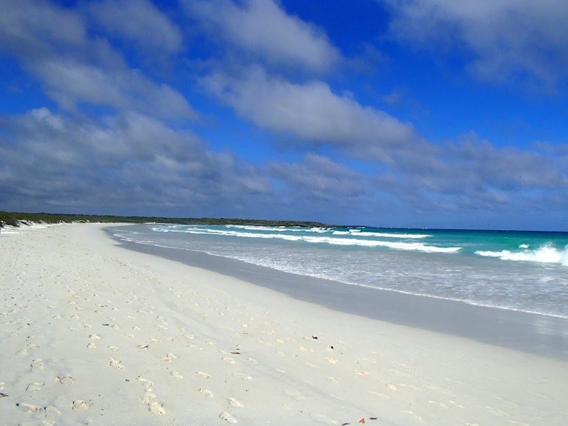 Tortuga Bay Santa Cruz Photo courtesy of Adam Off The Radar