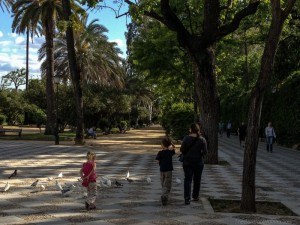 Walking the leafy streets of Seville
