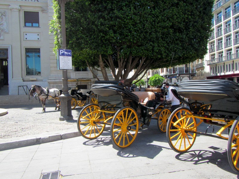 Horse and buggy Seville
