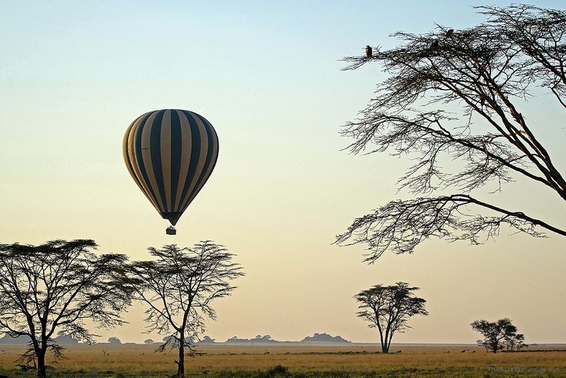 Ballooning over the Serengeti Photo by Brian Hampson on Flickr